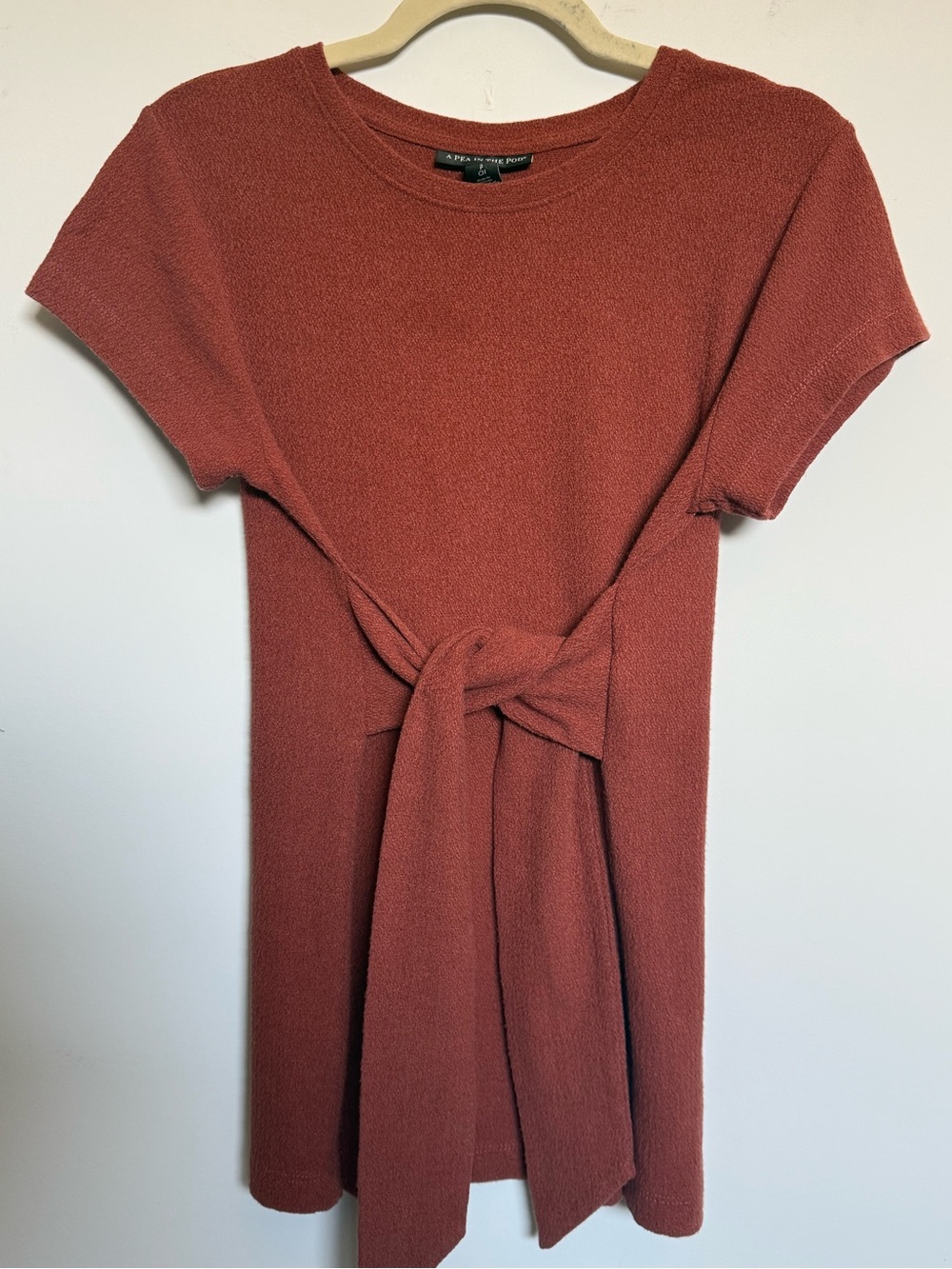 A Pea in the Pod Rust Tie Waist Knit Top
